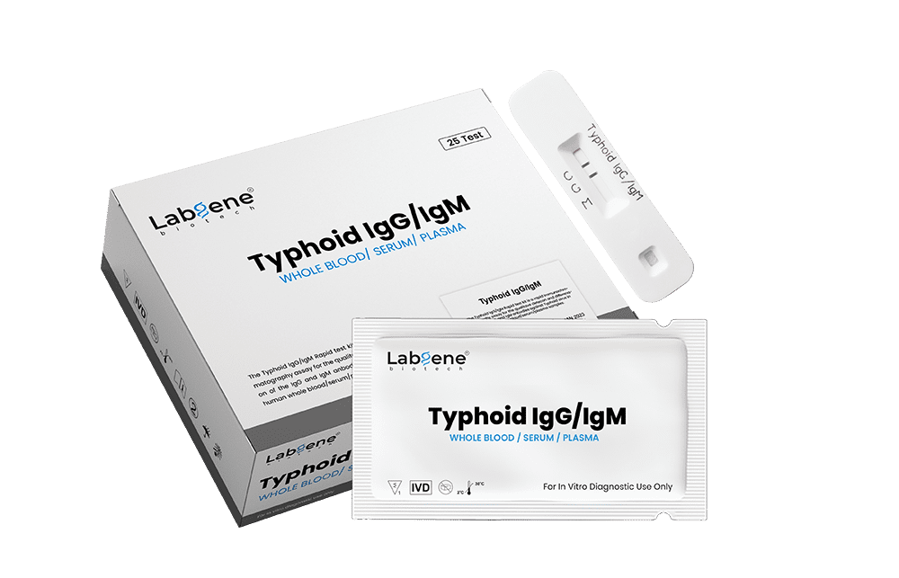 Typhoid IgG IgM Rapid Test - Labgene Biotech